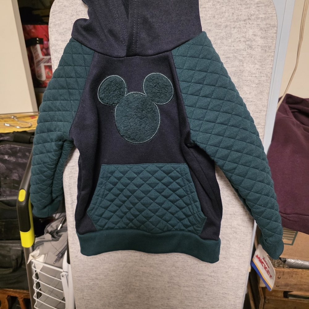 Disney Blue and Green Sweatshirt with Quilted Pattern